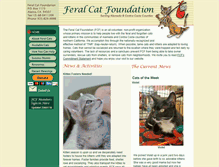 Tablet Screenshot of feralcatfoundation.org